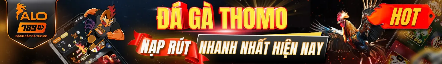 Alo789 ⭐️ Trang Uy Tín Đá Gà Thomo Độc Quyền Nhất 2024 9 alo789 baner 2